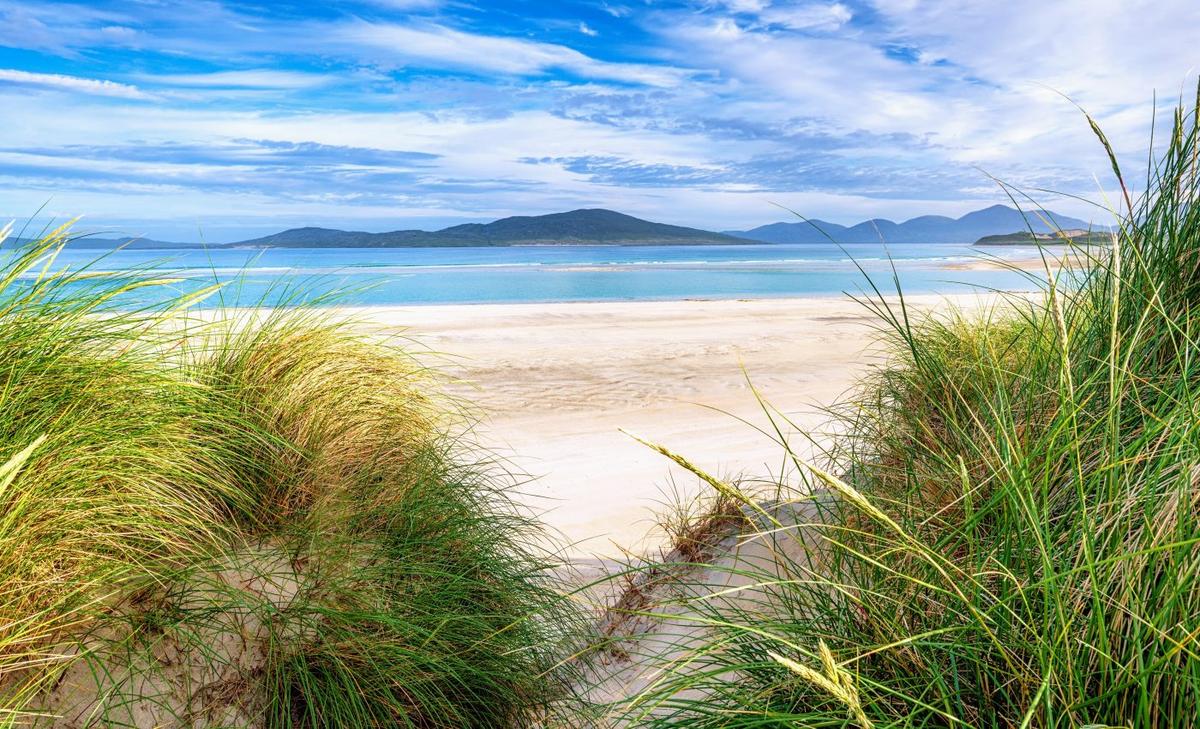 Rewilding the ocean will help mitigate impacts of climate change