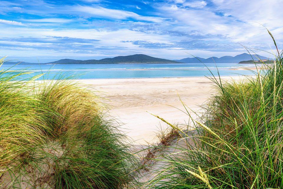 Rewilding the ocean will help mitigate impacts of climate change