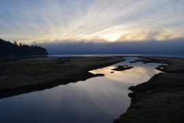 2021/05/sunrise-3744418_1920.jpg