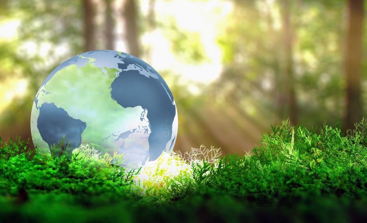 Changes in Earth's vegetation are the fastest in 18,000 years