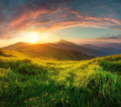 shutterstock_3533761162.jpg