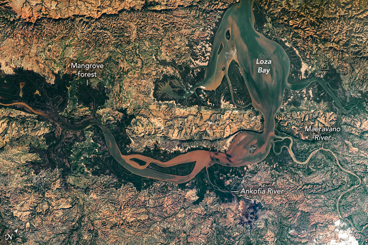 The Loza Bay wetlands in Madagascar
