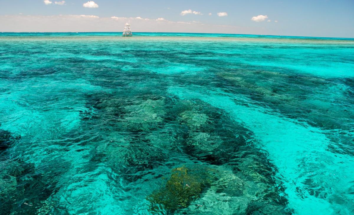No way out for Florida's coral reefs