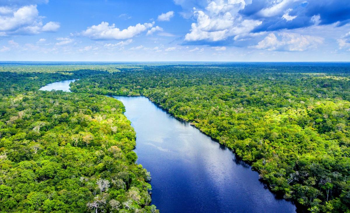 Rising CO2 could reduce Amazon rainfall more than deforestation