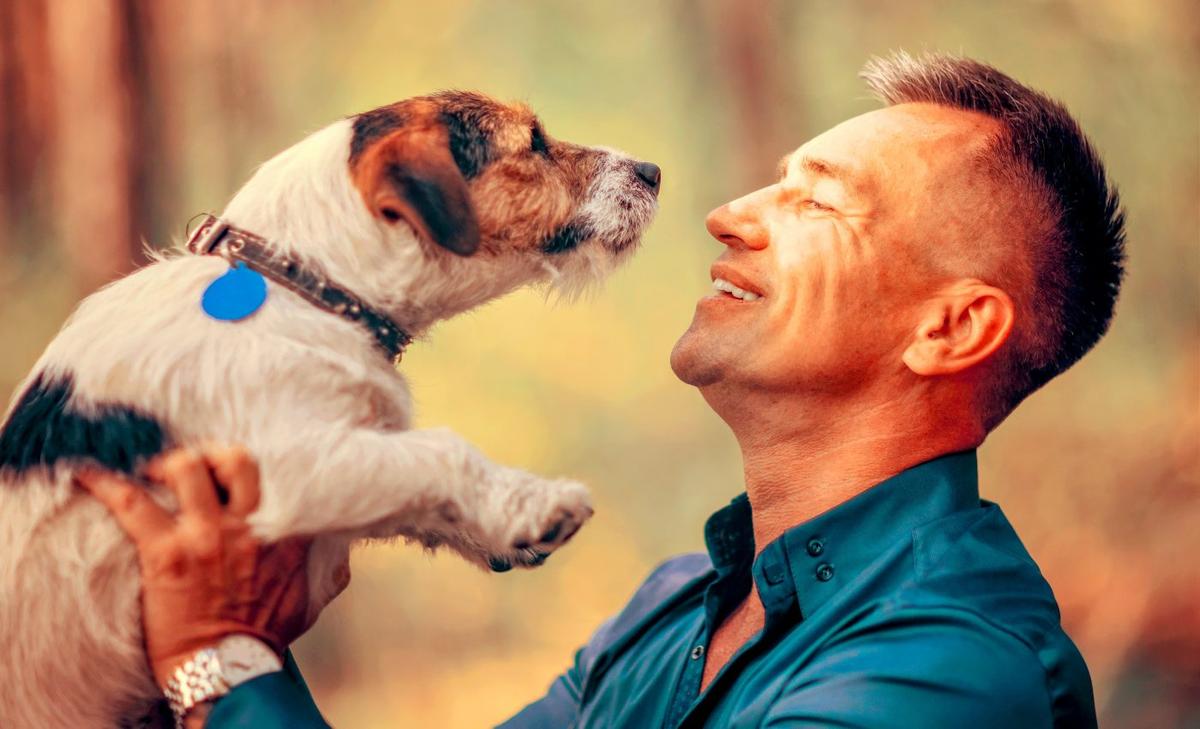 Humans are passing COVID-19 along to their pets