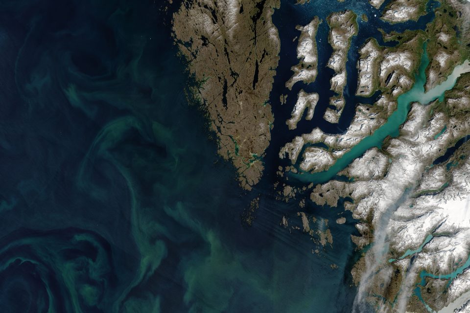 Summer phytoplankton bloom in the Labrador Sea
