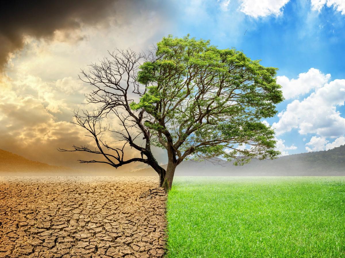 Immediate action needed to prevent heat-related mortality