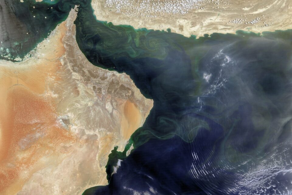 Unusual bloom in the Arabian Sea