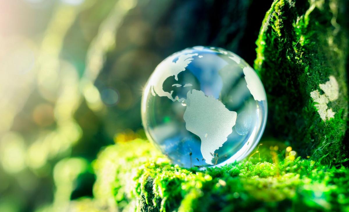 Nature conservation could achieve biodiversity and climate goals