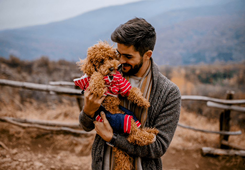 Can dogs understand the intention behind our actions?