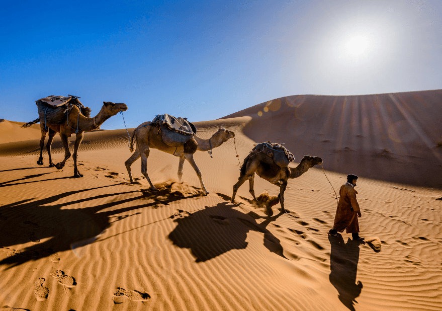 Climate change pushed humans back and forth across Arabia