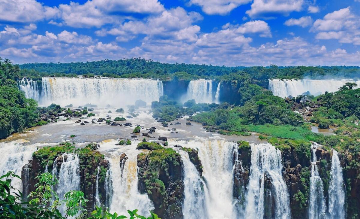 Aquatic insects have drastically declined in Brazil