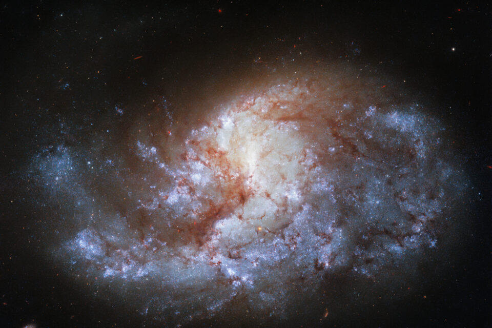 Spiral galaxy in the constellation Fornax