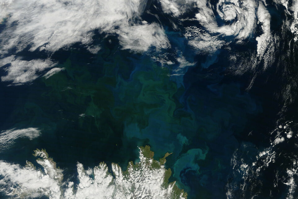 19. Icelandic phytoplankton bloom