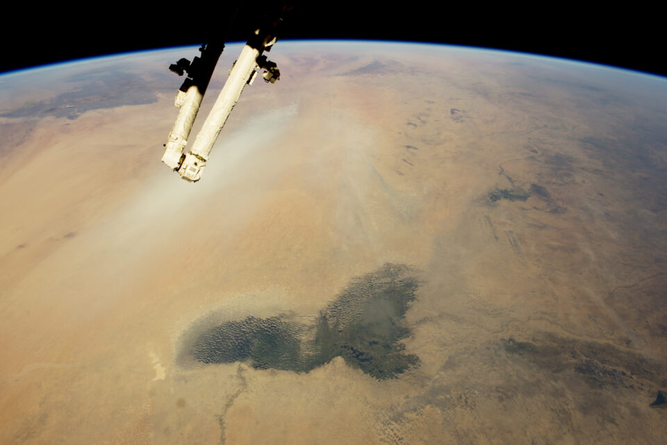 A wooded oasis in the Sahara