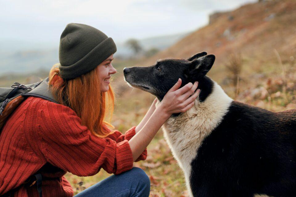 Dogs become attached to their owner's voice