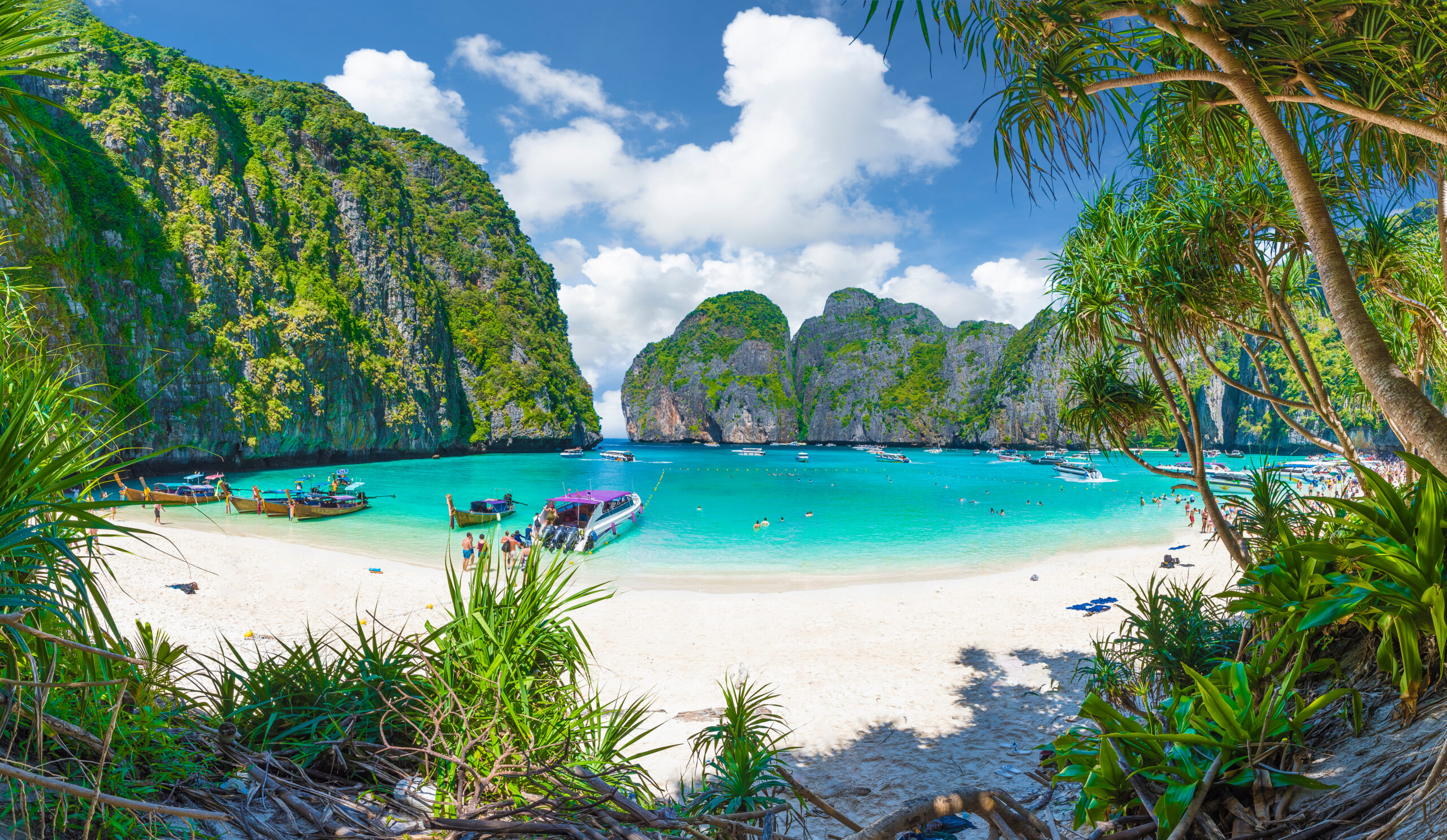 Maya Bay   Phi Phi Islands, Thailand