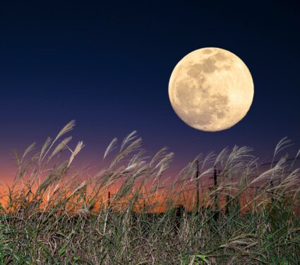 Harvest-moon.jpg