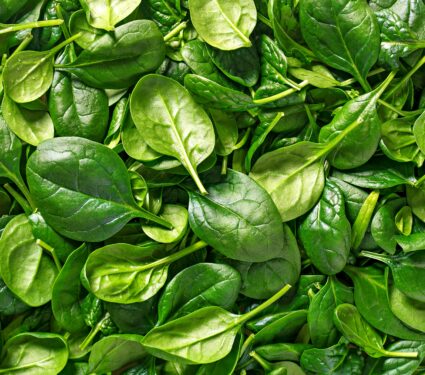 Edible-plants.jpg