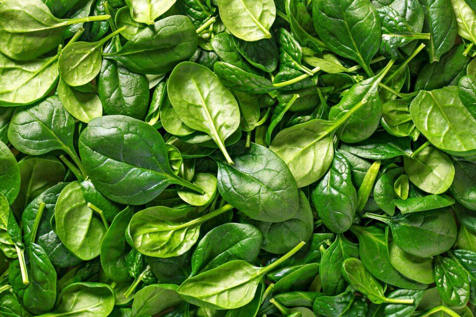 Edible plants could replace shots as vaccines