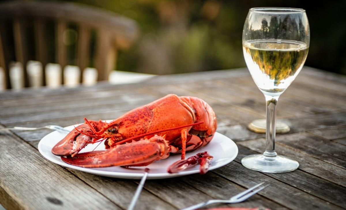 DNA technique can help estimate the age of lobsters
