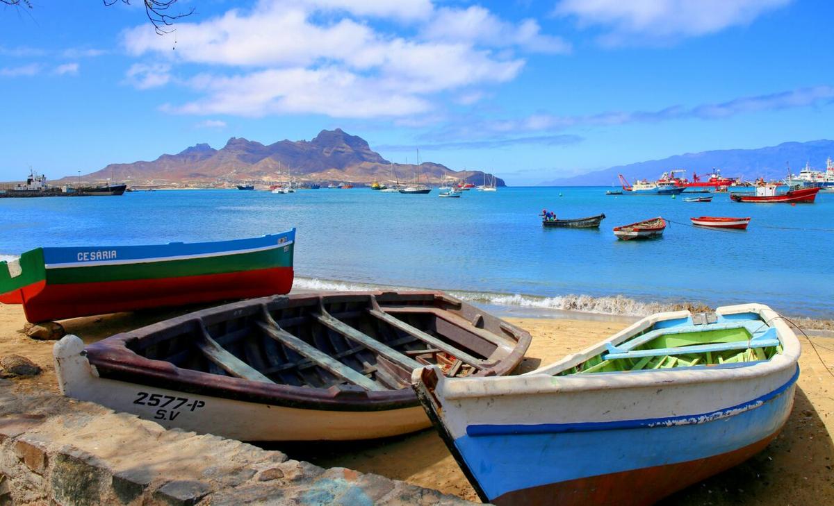 How has human settlement impacted island ecology?