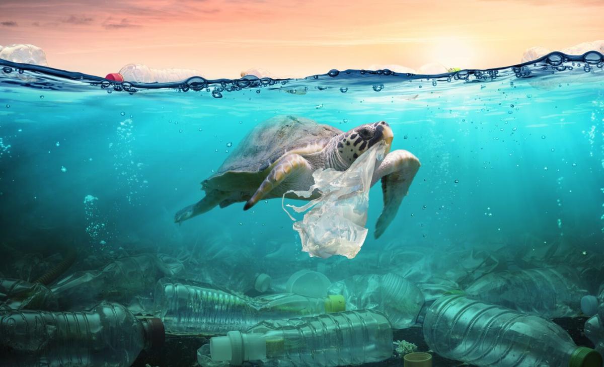 Plastic pollution and climate change are interconnected