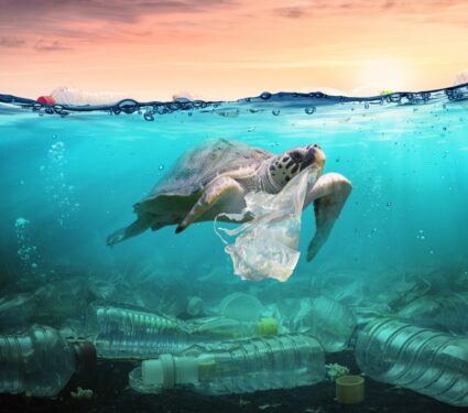 climate-change-and-plastic-pollution-.jpg