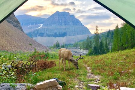 Glacier National Park