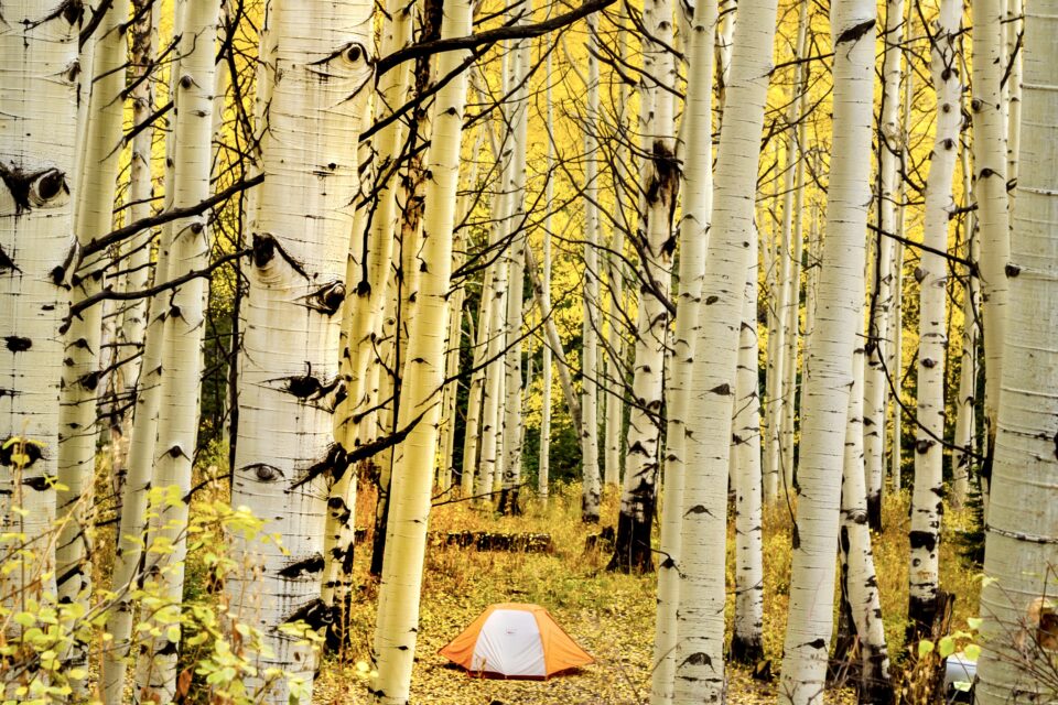 Gunnison National Forest, Colorado