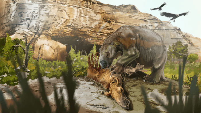 Darwin’s ground sloth was not fully vegetarian