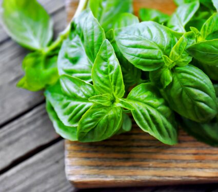 Basil.jpg