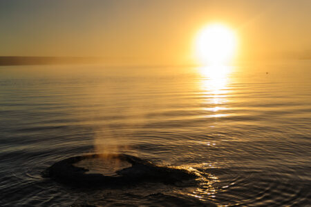 The,Dormant,Fishing,Cone,Geyser,During,Sunrise,In,The,West