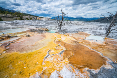 Hydrothermal,Areas,Of,Mammoth,Hot,Springs,In,Yellowstone,Nationa