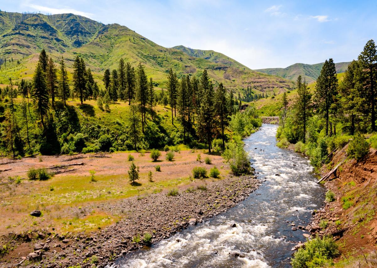 Washington voters want dam removal to save salmon