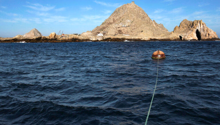 Preserving the habitat