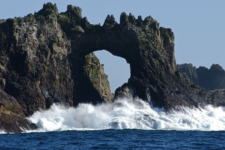 Great white shark haven
