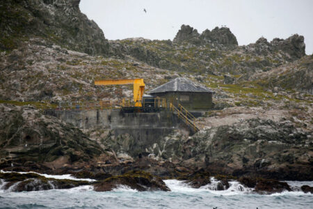 2021/10/craneontheFaralloneIslands-768w.jpg