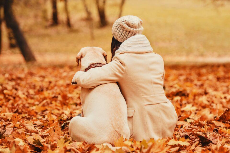 Many people have found their soulmate in a pet