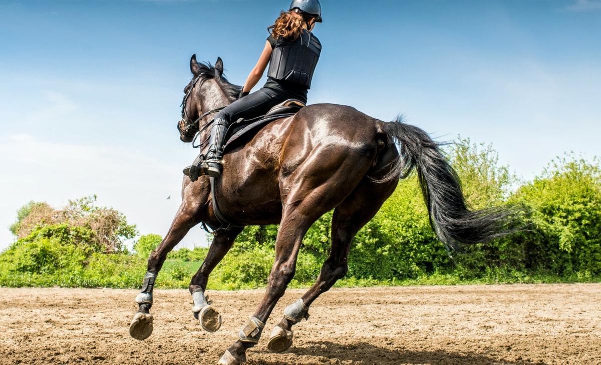 Horseback riding has a higher risk of serious injury than football
