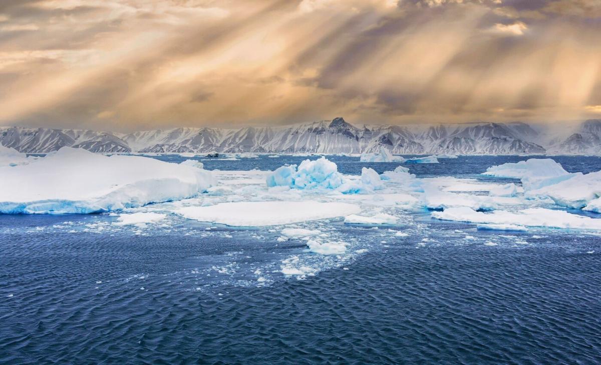 The Southern Ocean has a strong influence on the carbon cycle