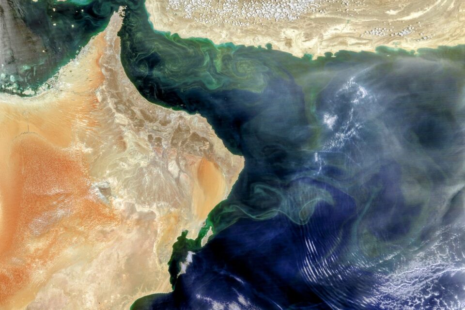 Rapid changes in the Arabian Sea