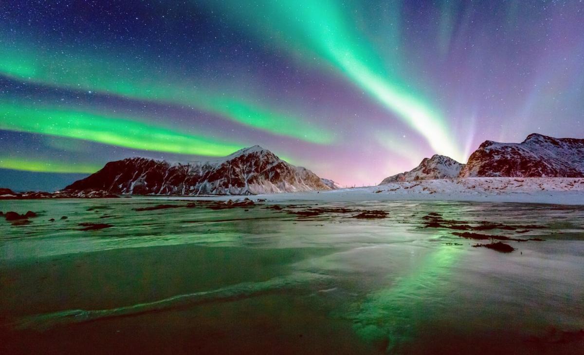 Arctic krill can distinguish night from day, even in polar winter