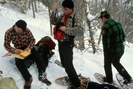 Biologists Observe Bear Cubs