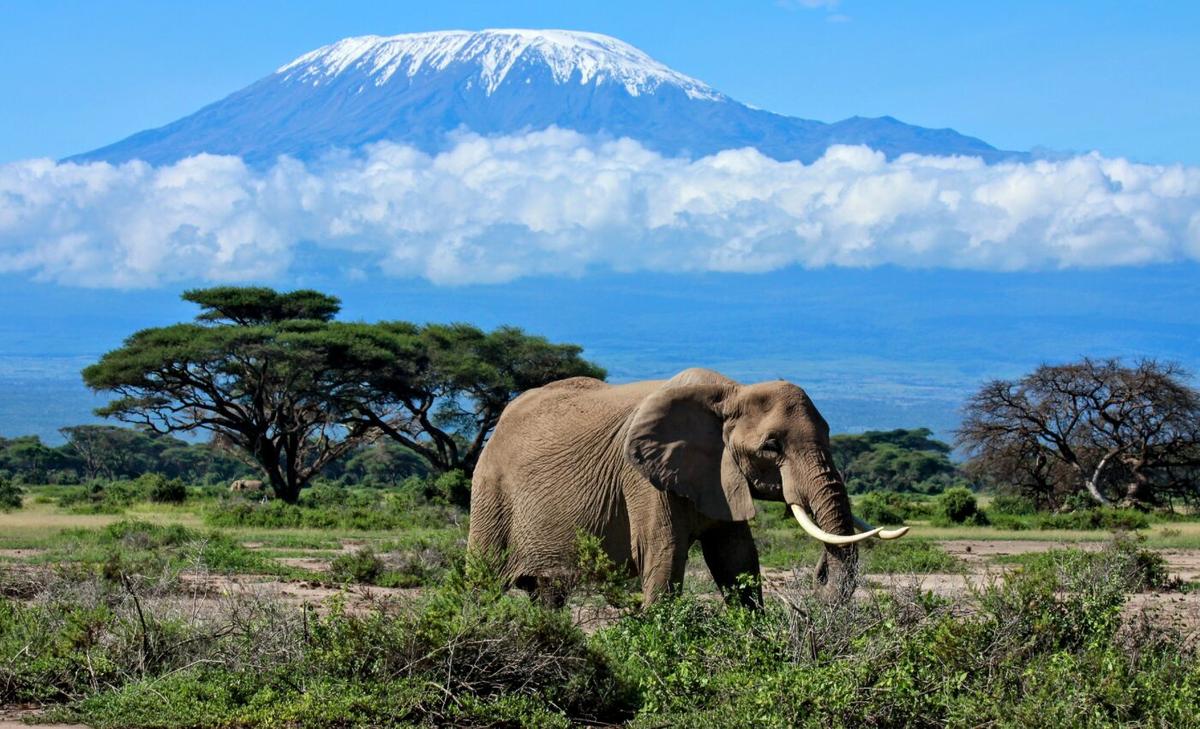 Africa’s glaciers may disappear by 2040