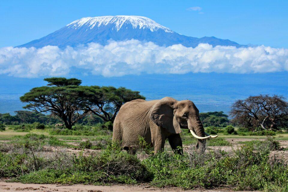 Africa’s glaciers may disappear by 2040