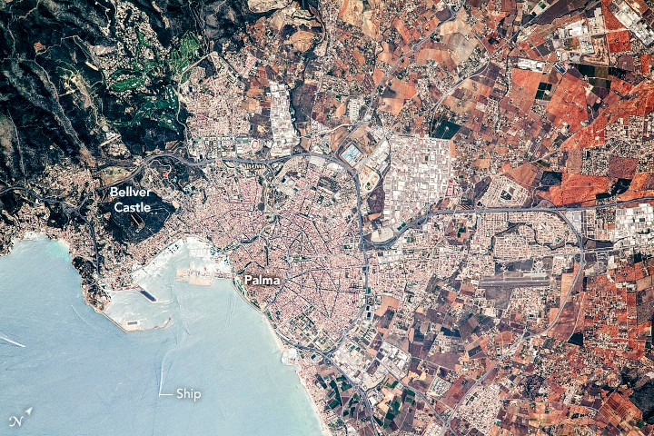 The city and port of Palma, Mallorca