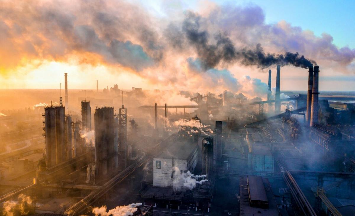 Air pollution may lower sperm count through brain inflammation