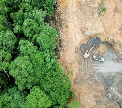 Deforestation.jpg