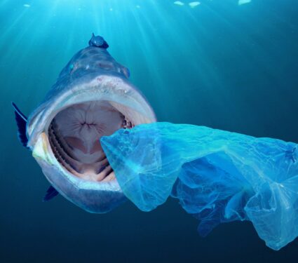 Plastic.jpg